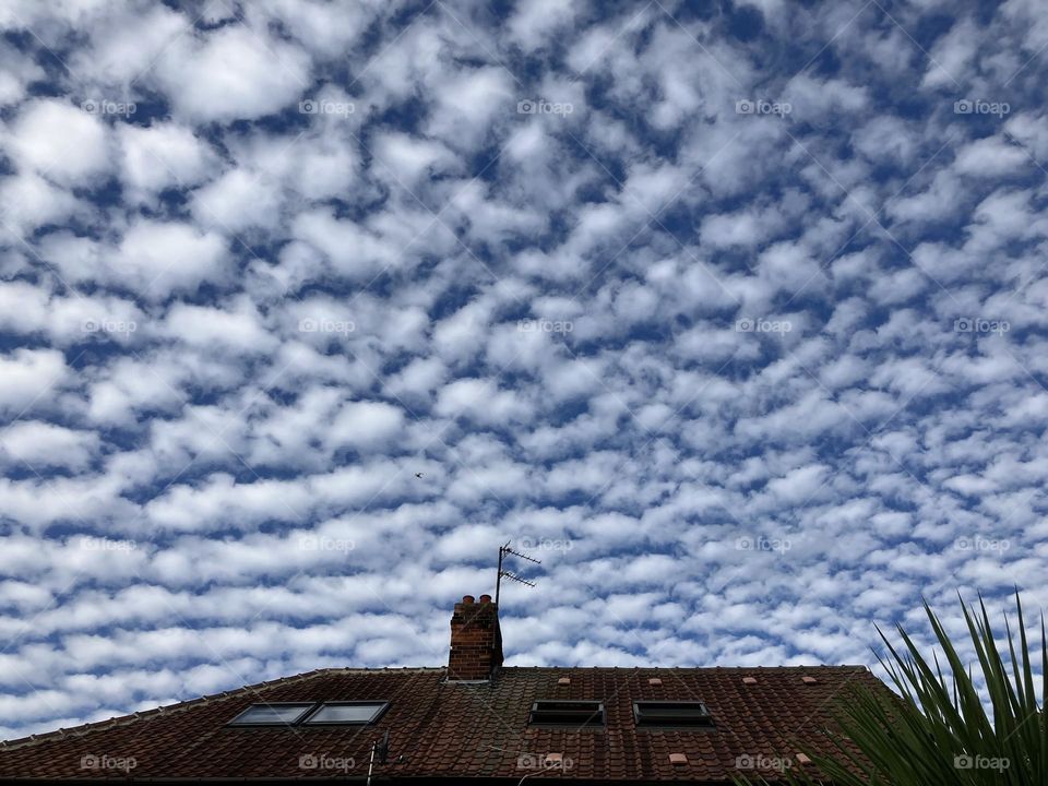 Most unusual cloud formation tonight 