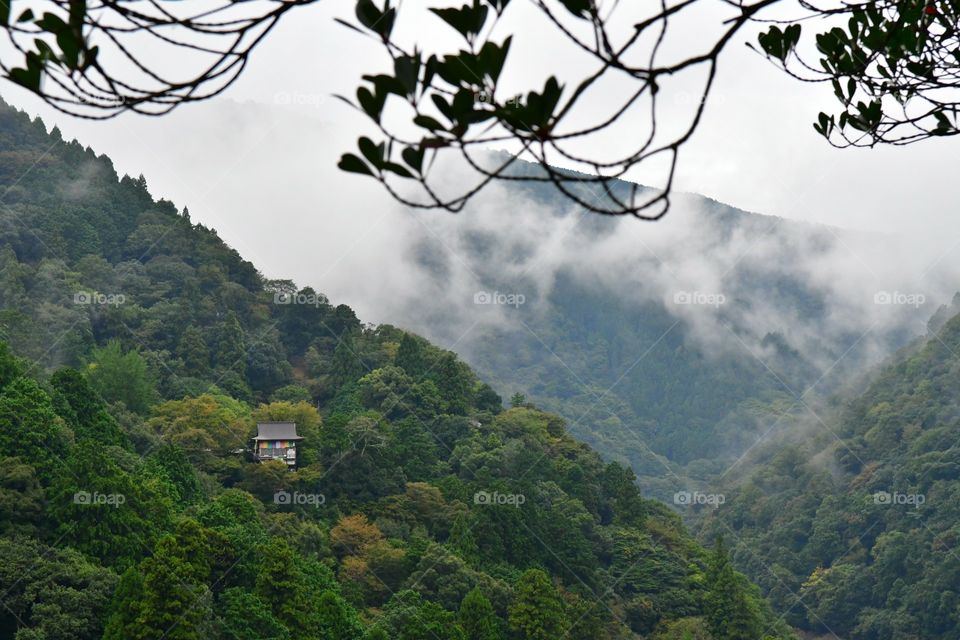 House on the hill in the rainforest