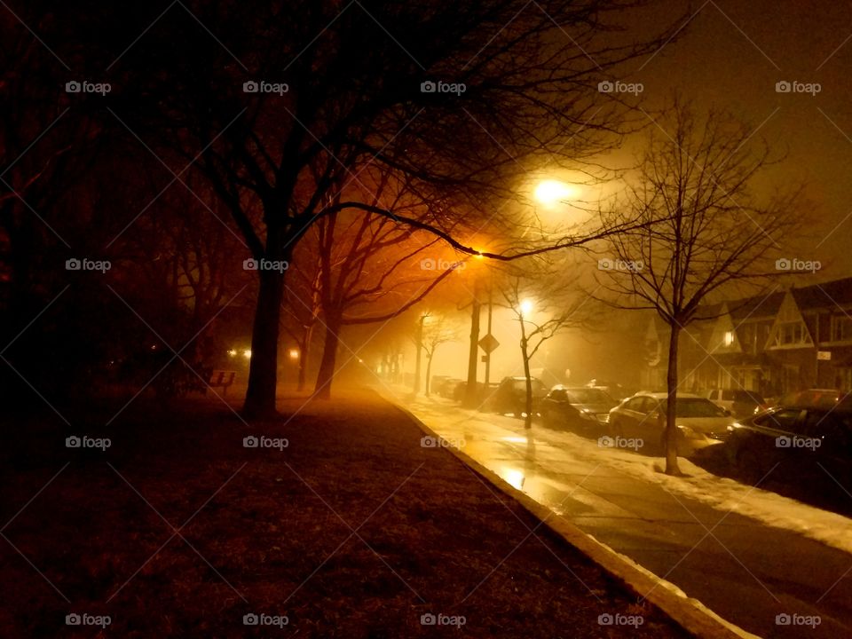 Light, Landscape, Street, Tree, Winter