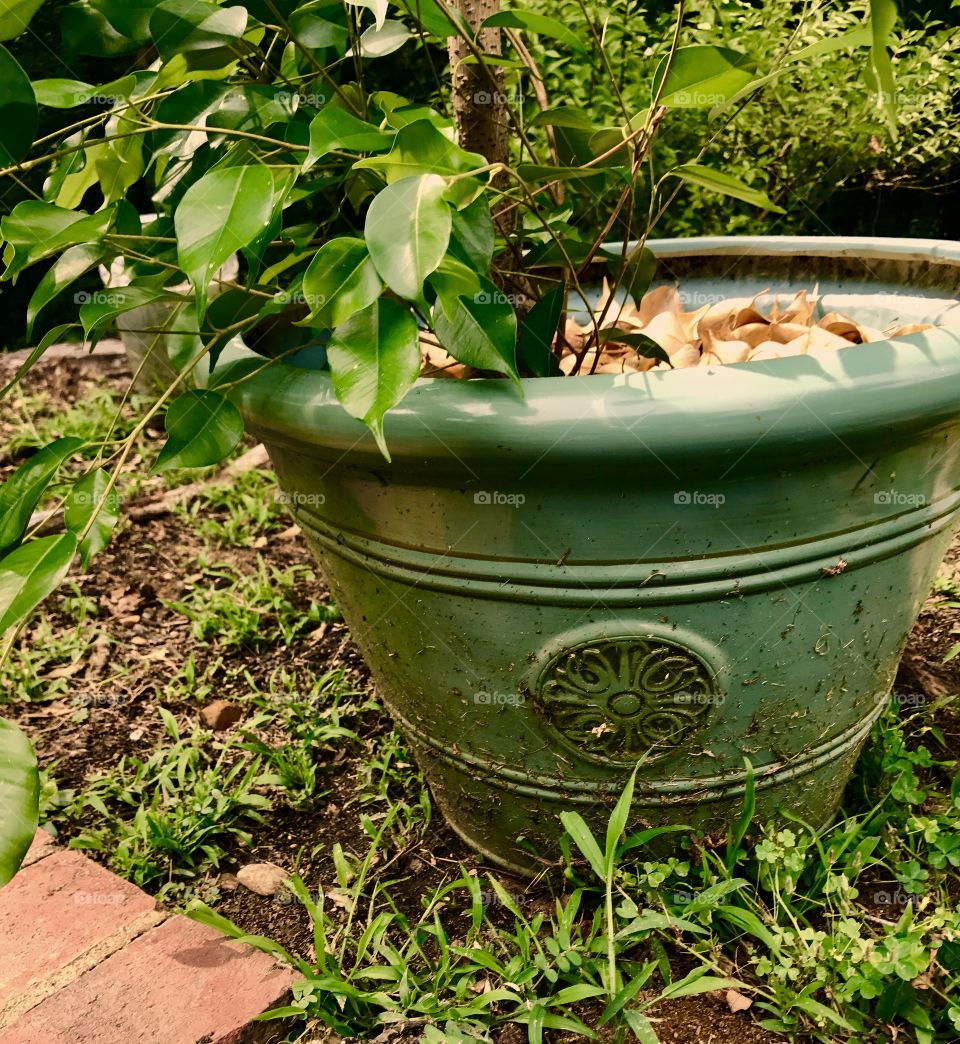 Green Ceramic Pot