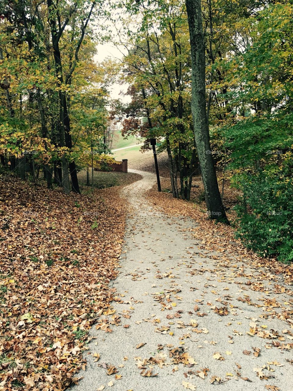 A autumn stroll in the park