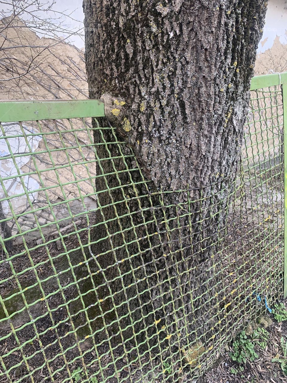 Nature will win!  Life goes on!