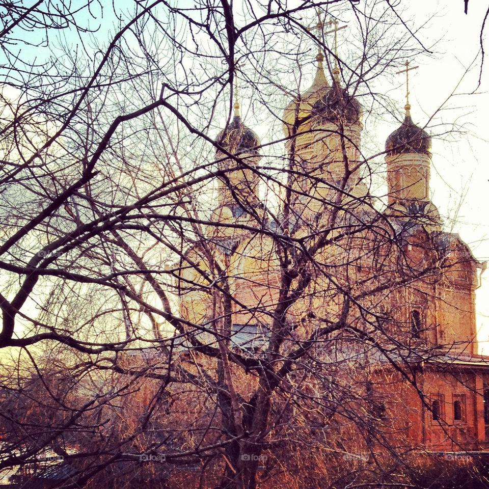 city tree religion day by vikandr2007