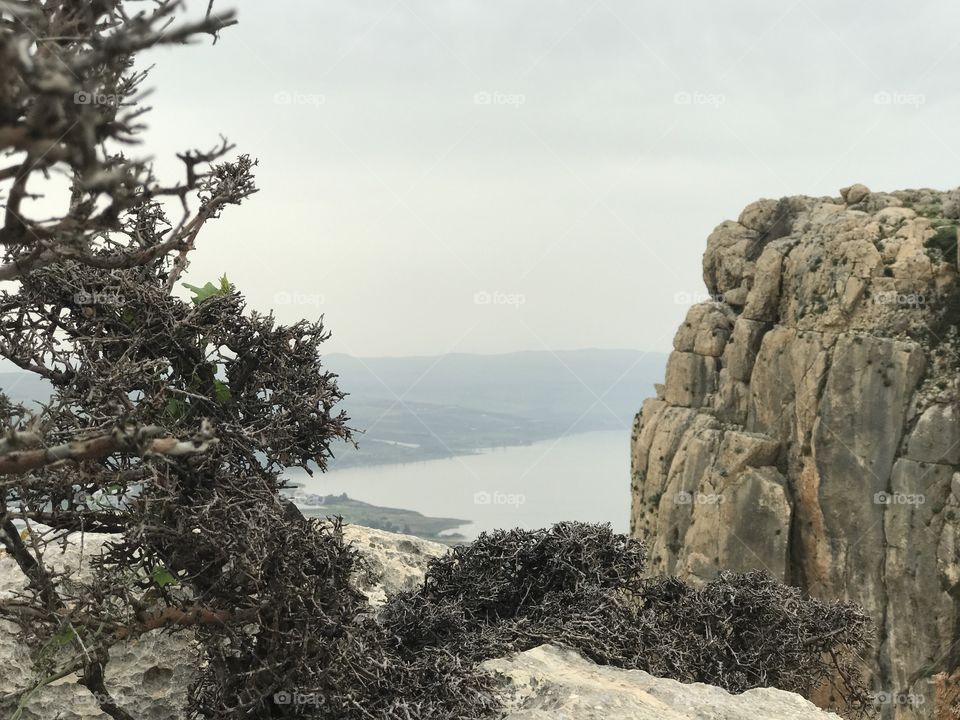 Nature Landscape - Galilee, Israel. 