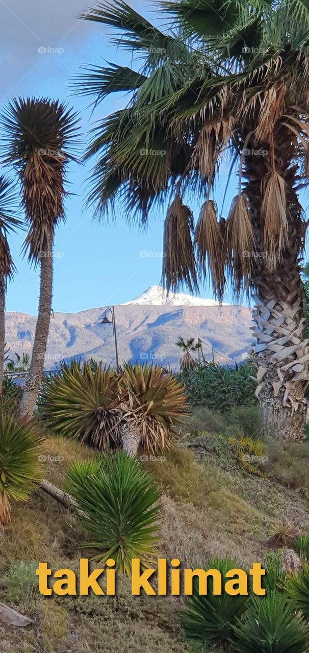 Pico de Teide