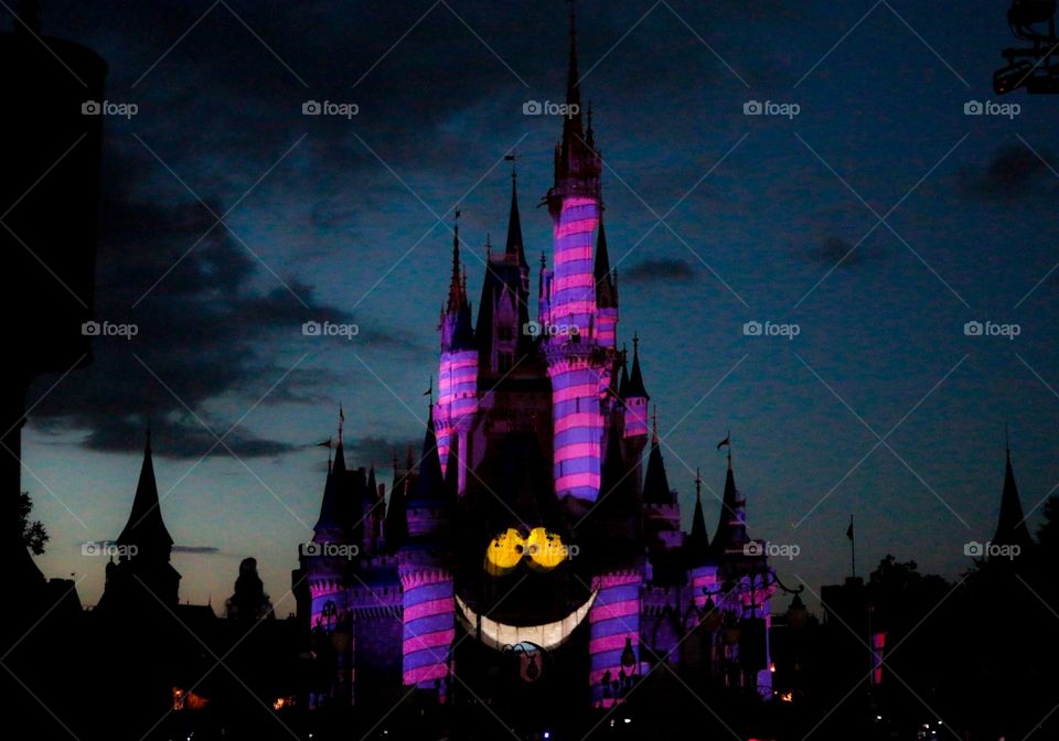 Magic Kingdom light show Cheshire Cat