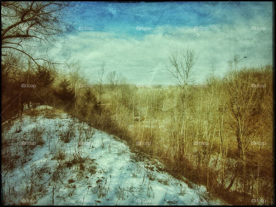 wintery overlook