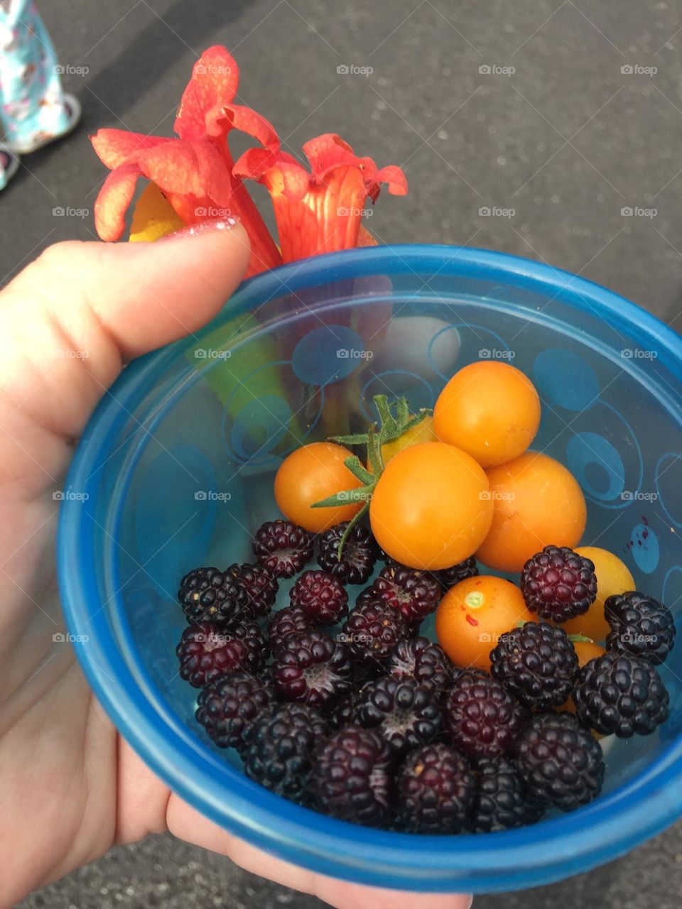 Blackberries and yellow tomatoes in bowl