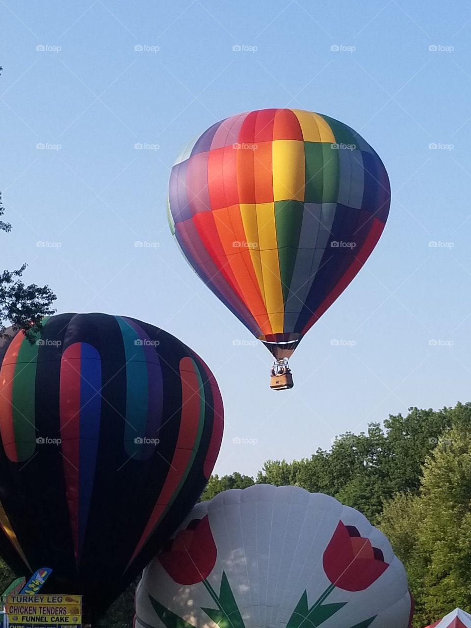 Hot Air Balloon Launch, at an Annual festival in Ny. I find something fascinating about seeing different stages of the balloons.