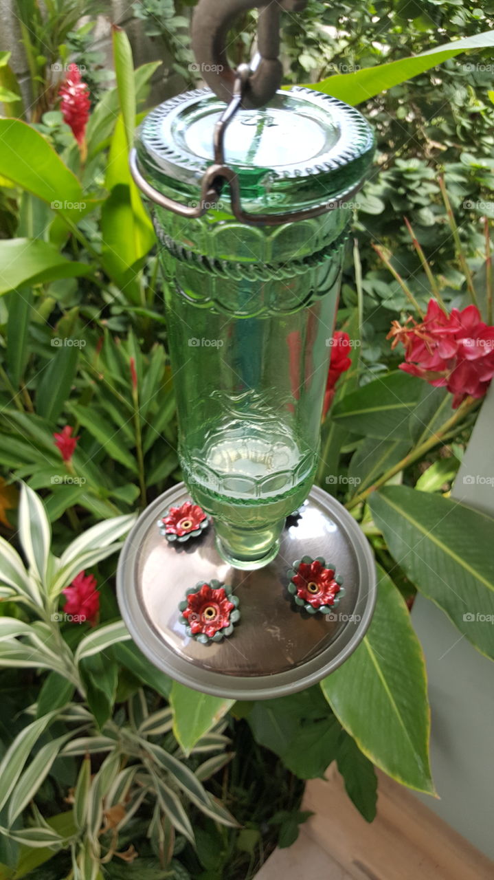My colibri feeder