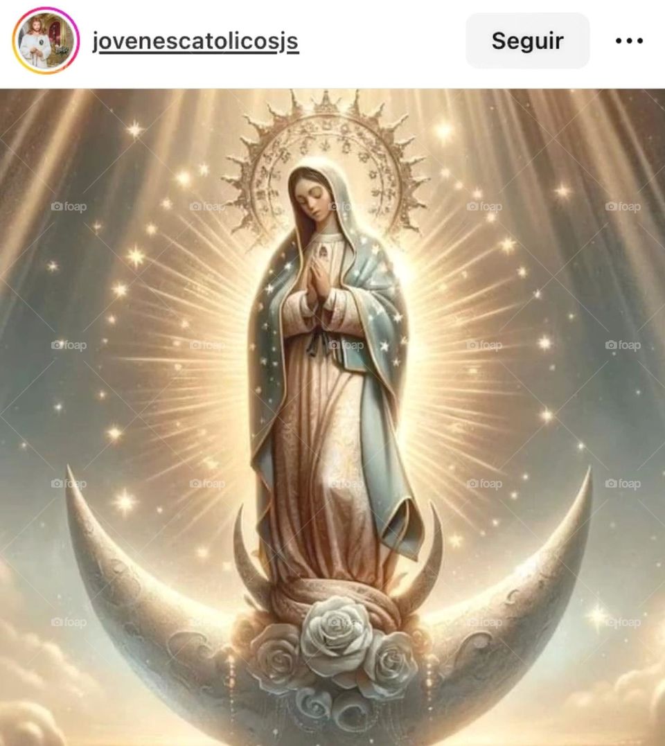 🙏 🇪🇸 Oh Maria, ruega por nosotros que recurrimos a ti.  Amén.  🇧🇷 Ó Maria, Nossa Senhora, rogai por nós que recorremos a vós. Amém. / 🇺🇸 O Mary, pray for us that we turn to you.  Amen. / 🇮🇹 O Madonna, prega per noi che ci rivolgiamo a te. Amen. 