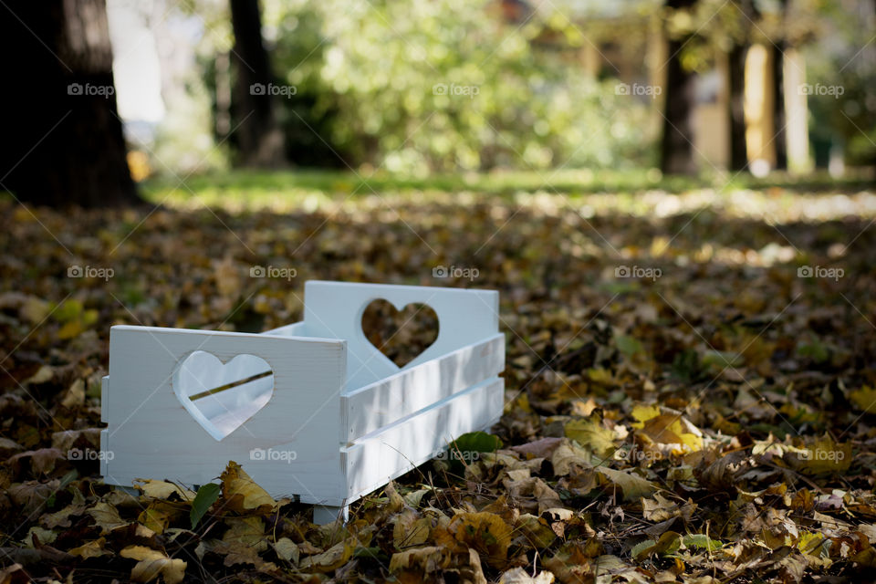 wooden small bed. wooden baby photography bed in park among colorful fallen leaves