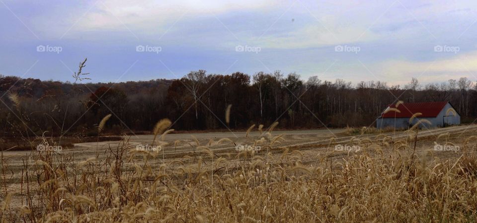 Cat-tails and county trails 