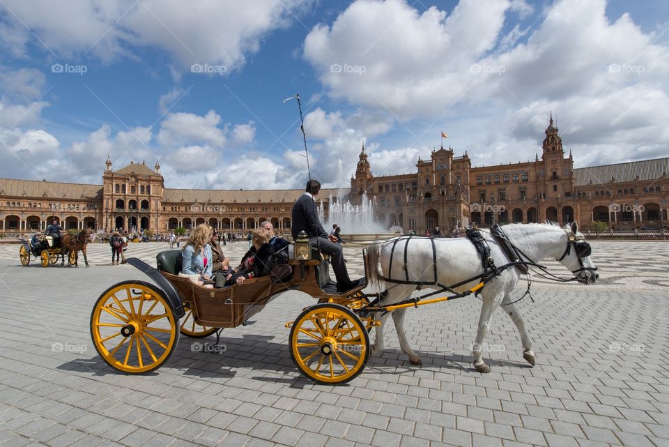 Horse and carriage in Plaza de España, Seville . Tourists in a carriage with white horse visiting Plaza de España in Seville 