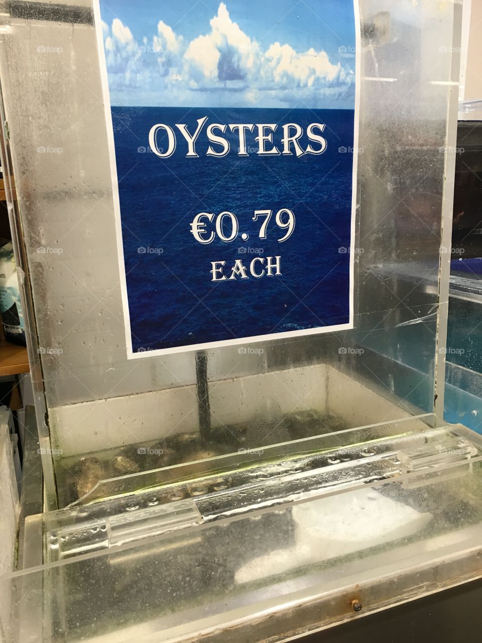 Ireland shopping cheep oysters