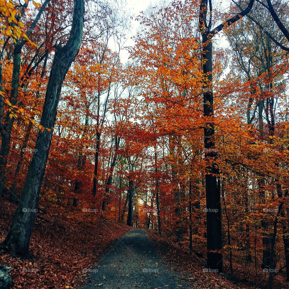 "Runners can get through the weary and lonely hours only if they are at
peace in themselves."
- Ayers