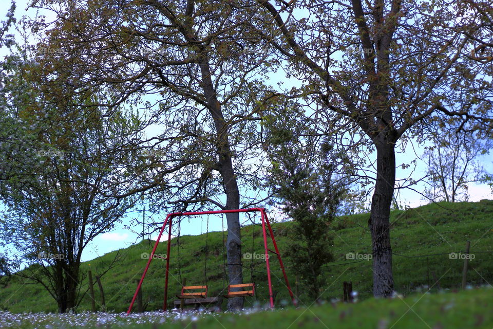 The old swing