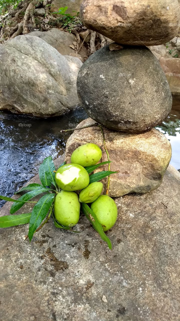 fresh fruit smoothie