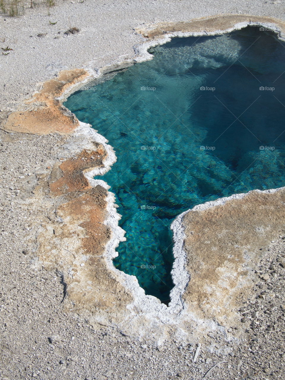 Beautiful, unique, and stunning geology on Geyser Hill in the magnificent Yellowstone National Park on a sunny summer day. 