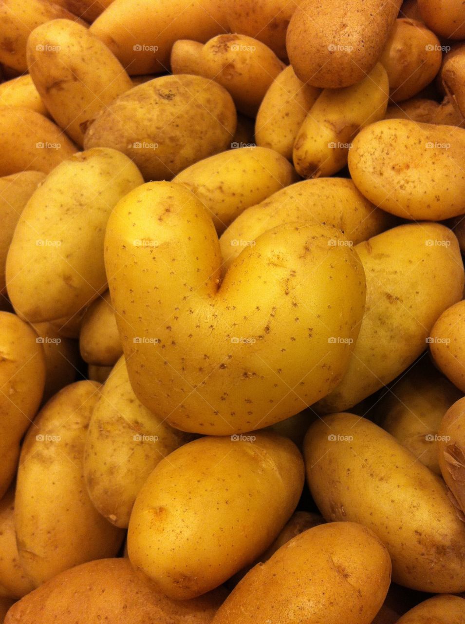 Full frame shot of organic potatoes