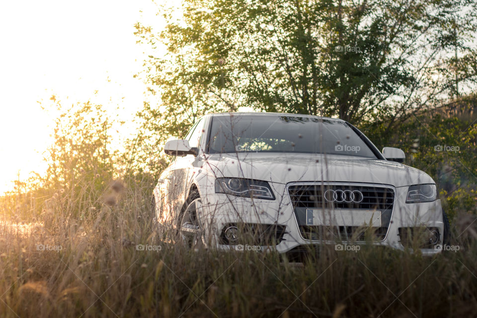 Car, Landscape, Vehicle, Nature, Road