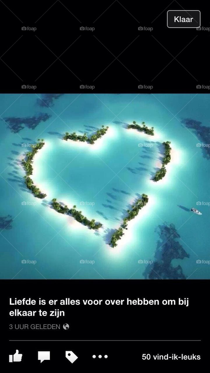Love island 