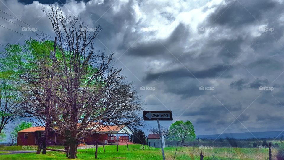 Landscape, Tree, No Person, Sky, Grass