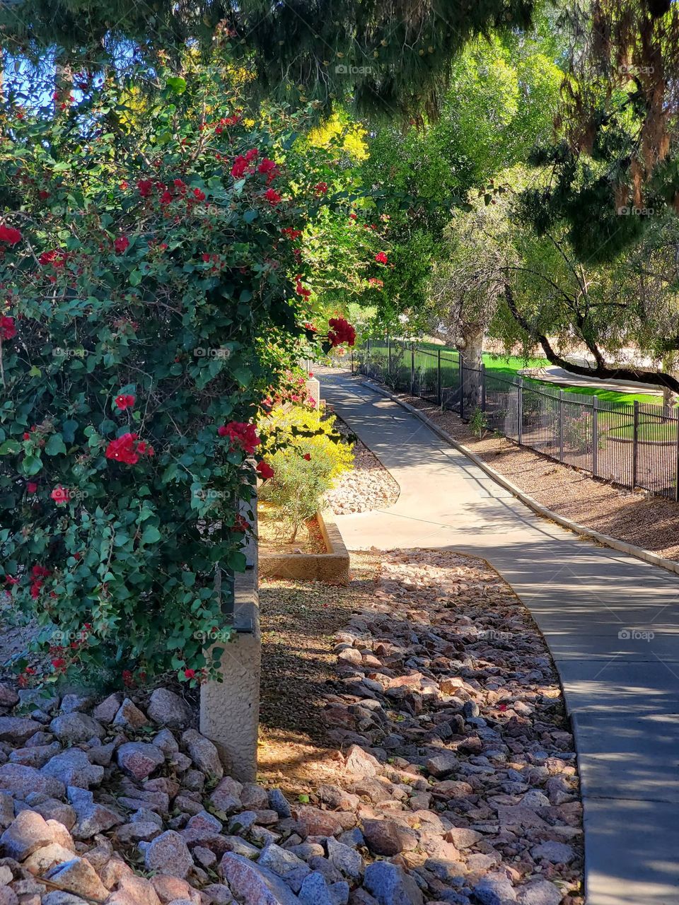 Sidewalk Stroll in Spring