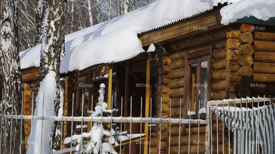 winter