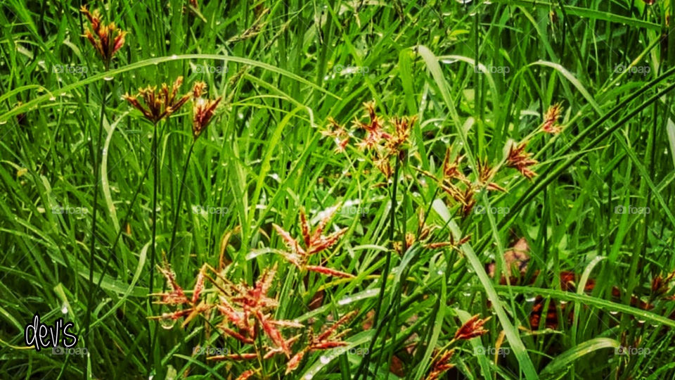 I can breathe where there is green. Green grows hope. It keeps my heart beating and helps me remember who I am

— Courtney M. Privett