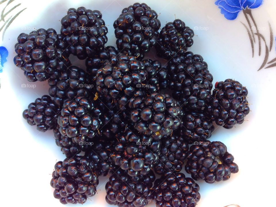 Blackberry Berries