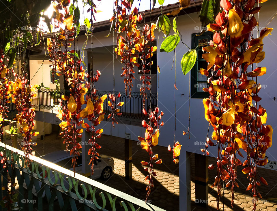 Country house! Love and serenity!