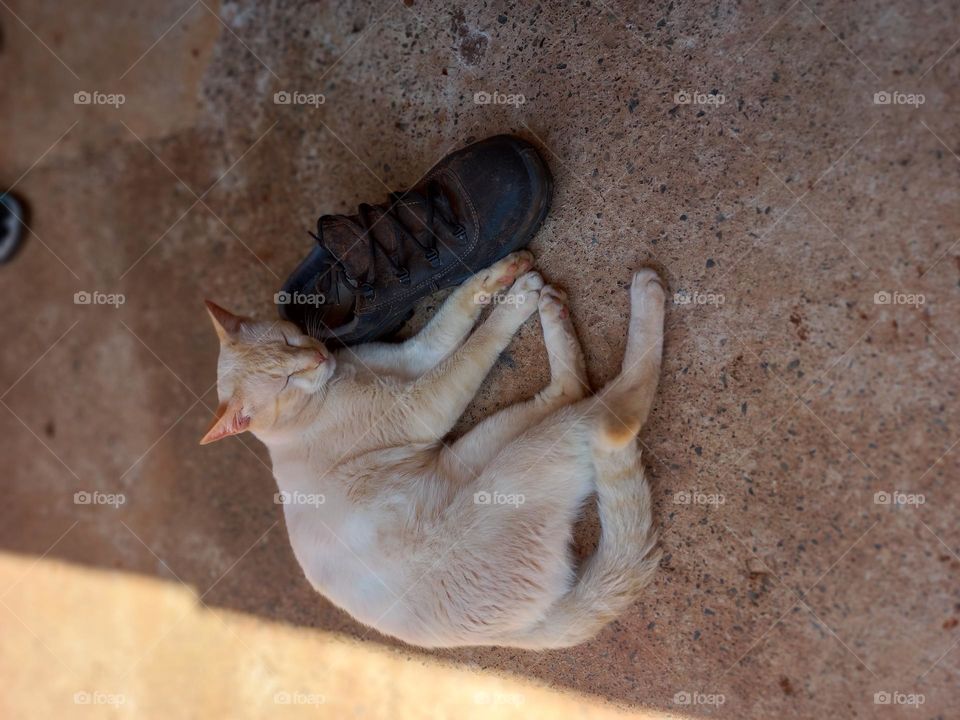 Calçado confortável, designer moderno e solado macio, resistente e seguro