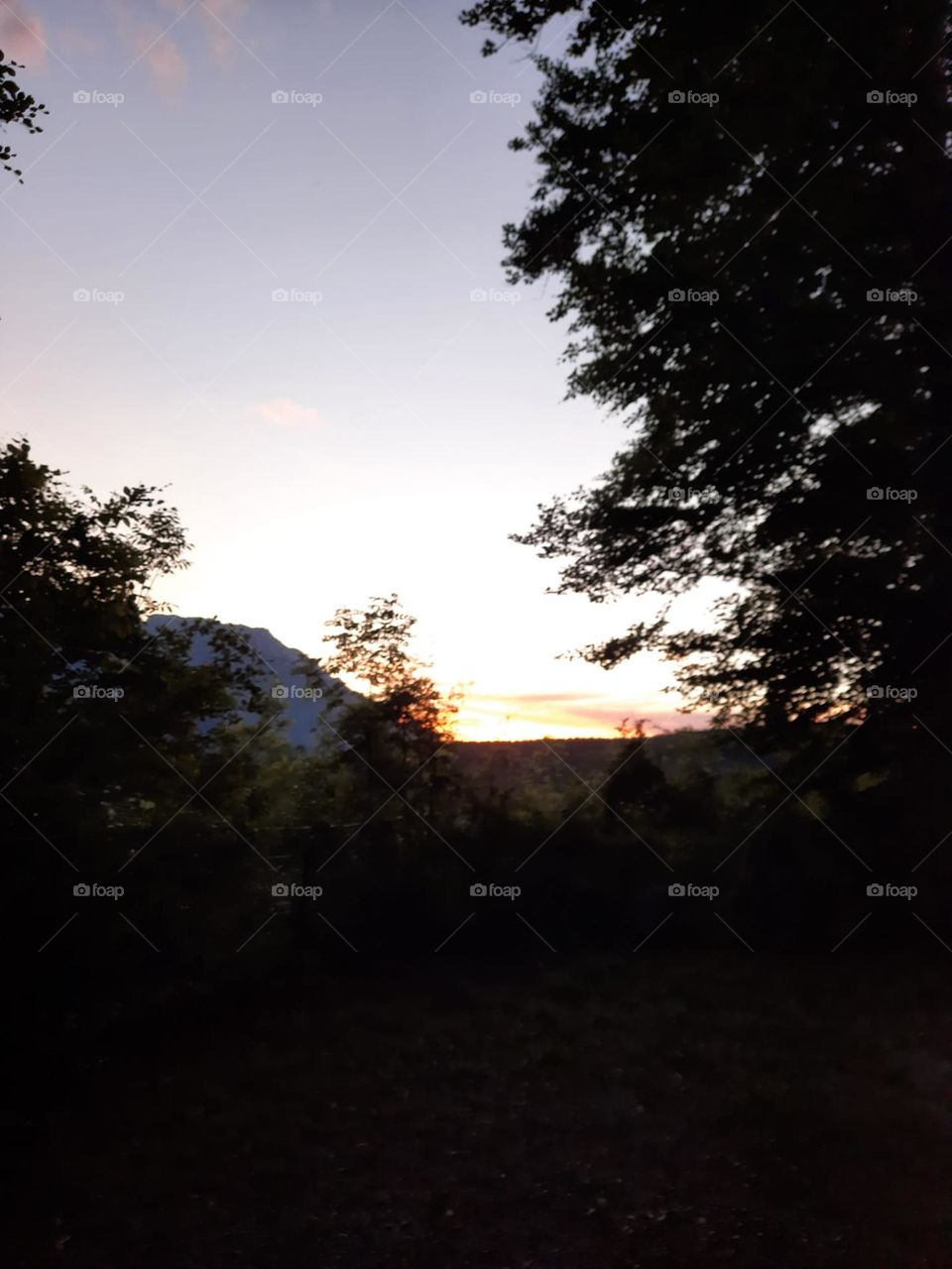 Abenddämmerung Wald 