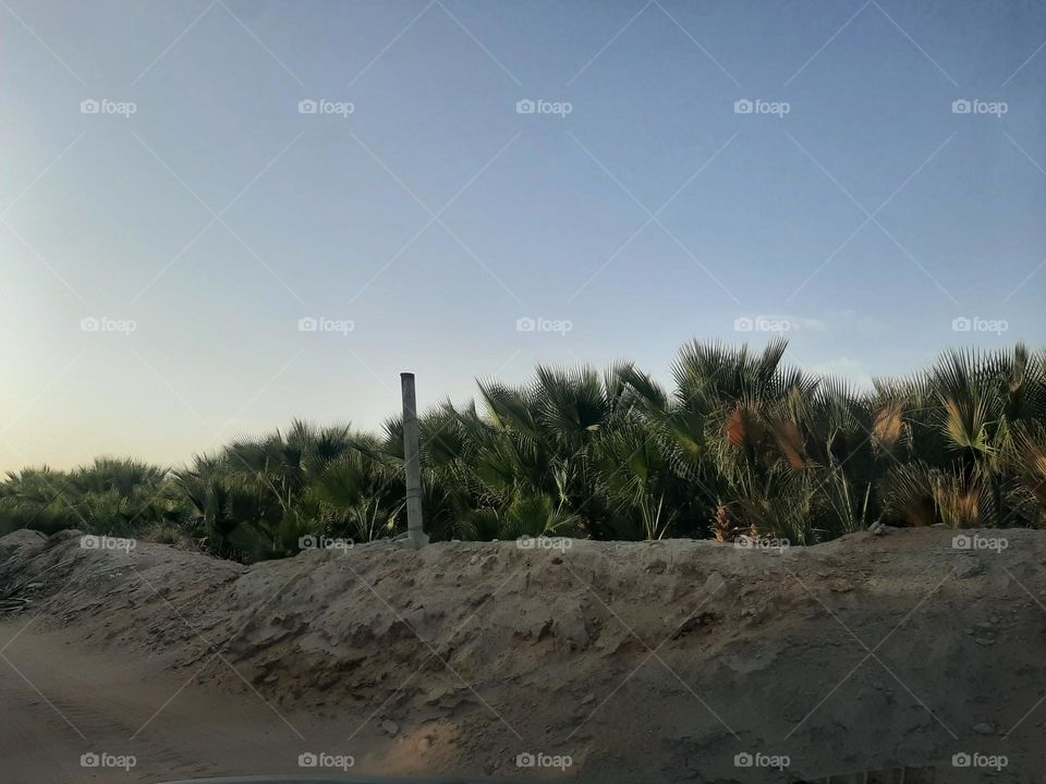 Please make me happy, I am poor, I need your help with support