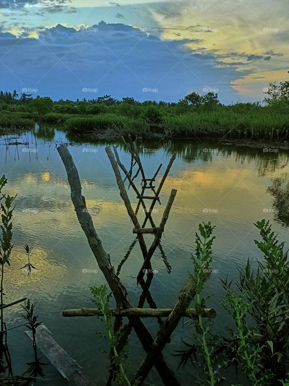 Wooden bridge pillars. Best place for fishing.Wetland landscape at dusk.
