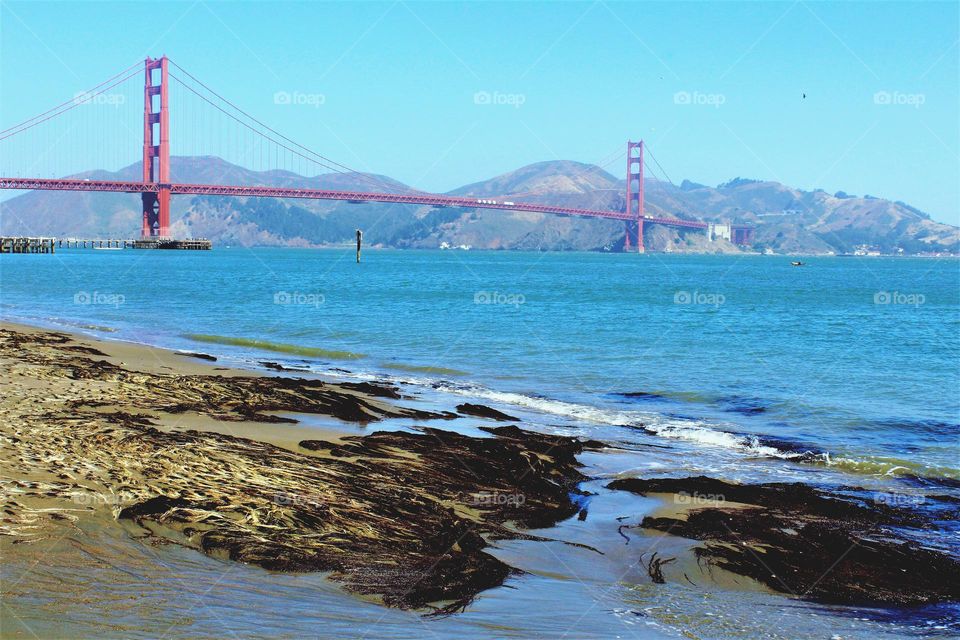 enjoying the view while relaxing on the beach