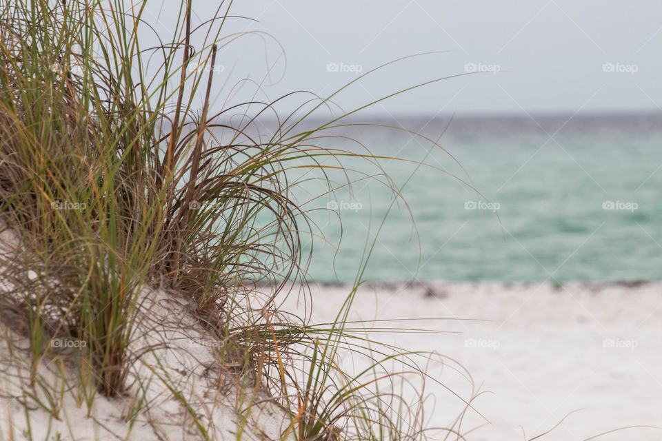 Beach view from behind a dune