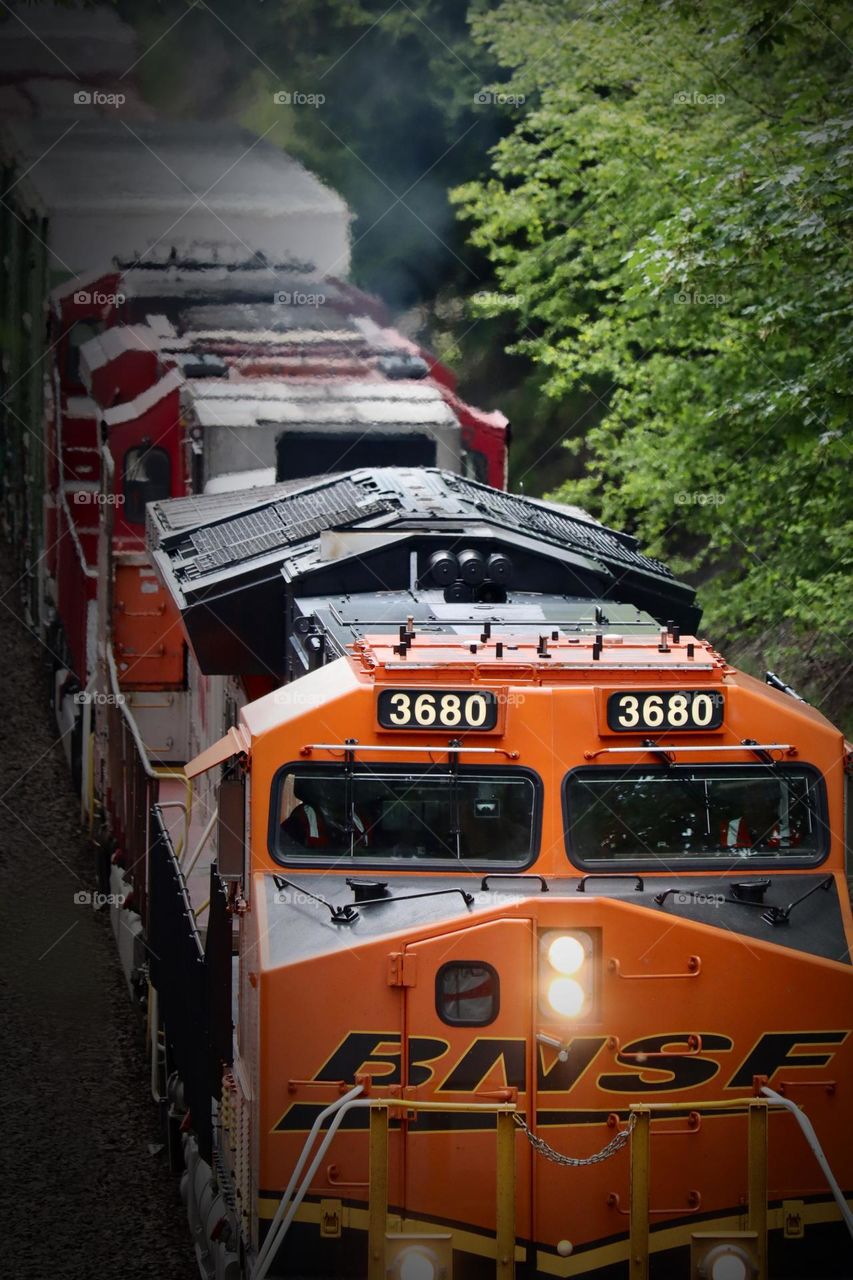 A train moves quickly through the tree lined tracks near Titlow Beach,Tacoma, Washington 
