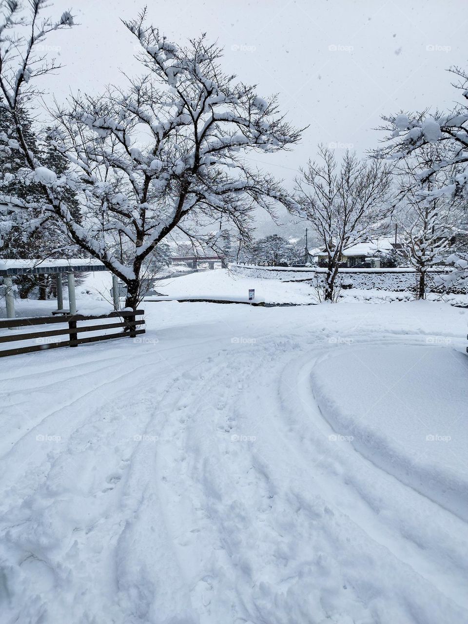 A breathtaking winter landscape where snow-covered trees and untouched paths create a serene and peaceful atmosphere. Nature’s quiet beauty shines through in this frozen wonderland.