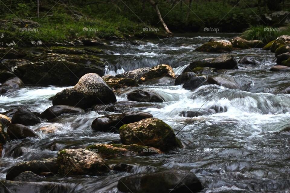 Rushing Waters