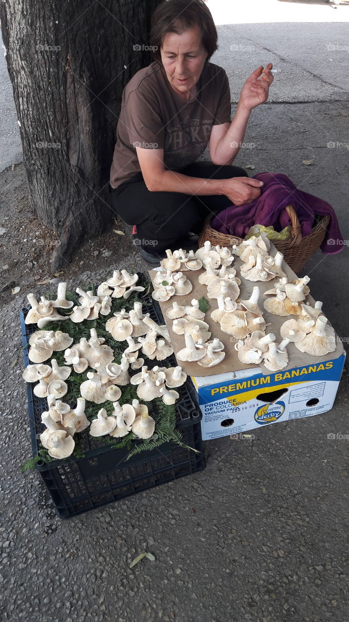Woman sitting by tree and selling mushroom