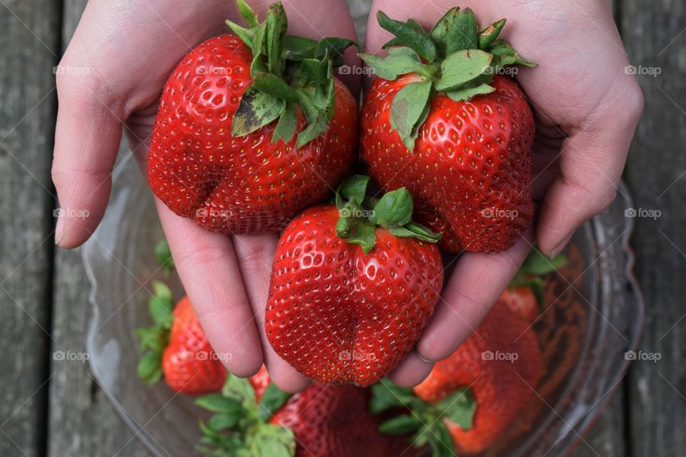Close-up of strawberries on hand