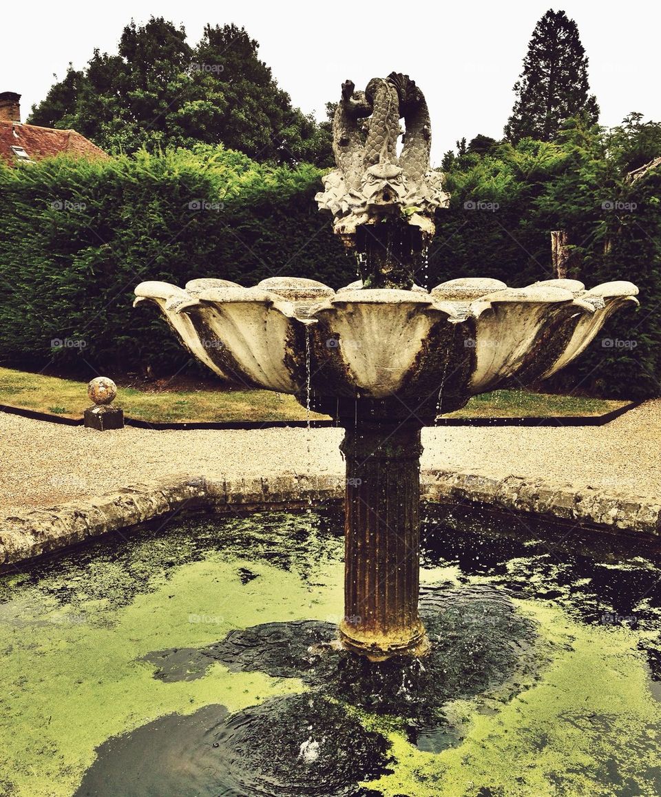 england water fountain algae by hannahdagogo