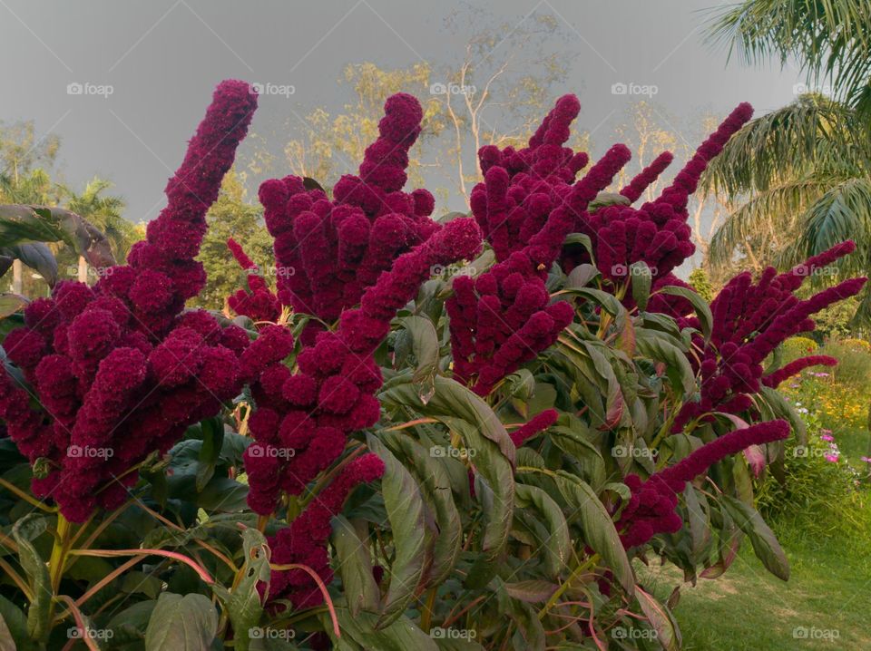 Everyone say 'Up yours'