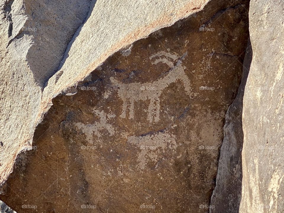 Petroglyphs in the desert