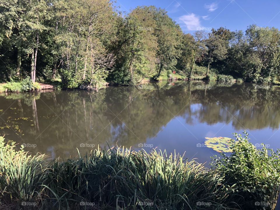 A huge pond like feature at Sampford Peverell in Devon, a little of Nature’s best to be found in Devon, UK.