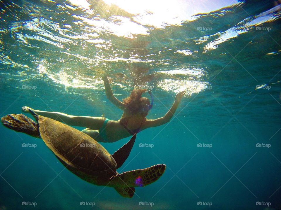 Swimming with Sea Turtles