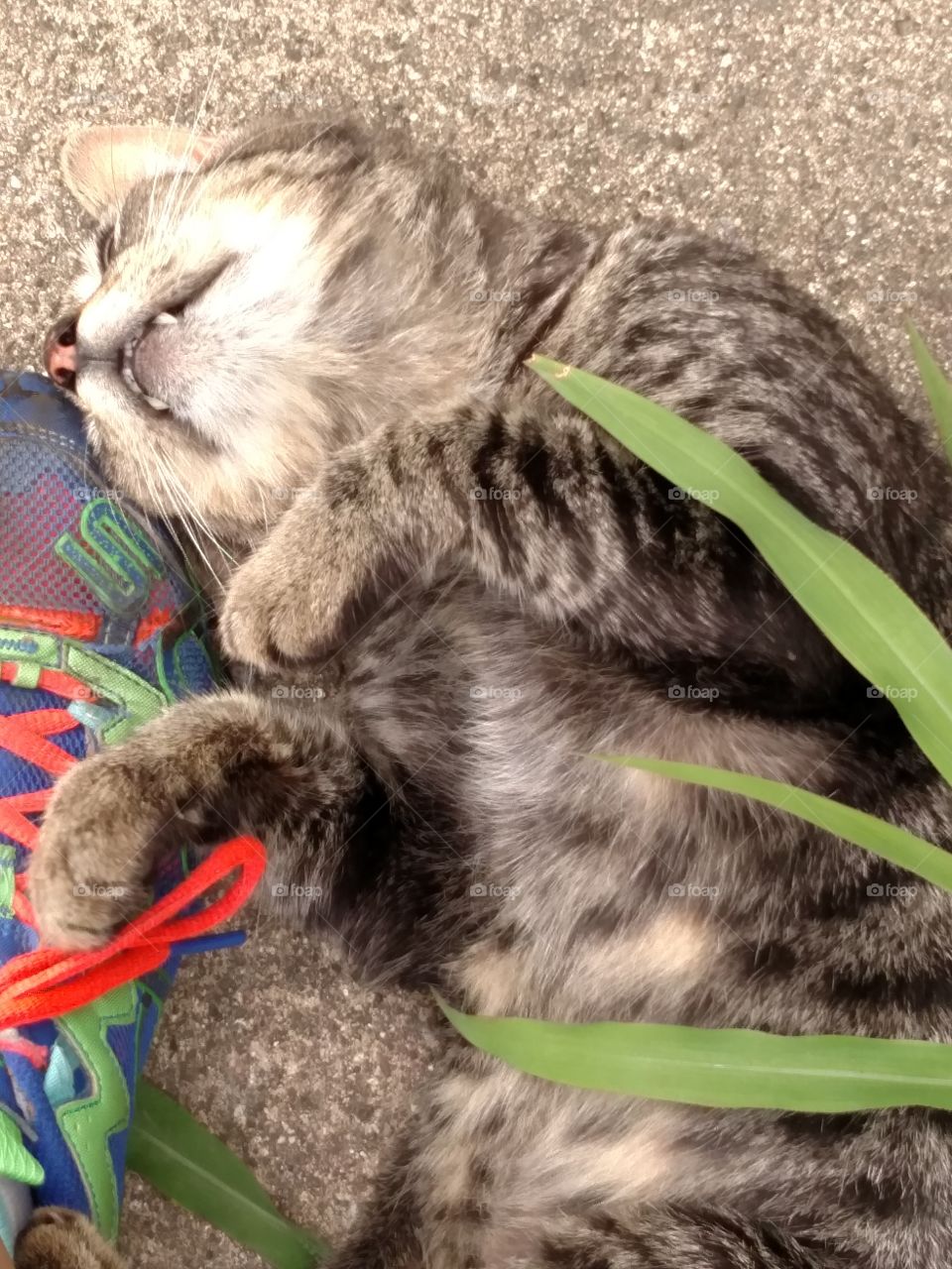 Under foot demanding attention