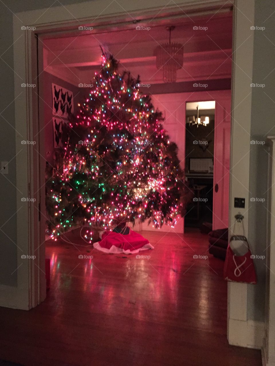 Christmas, Christmas Tree, Interior Design, Winter, No Person